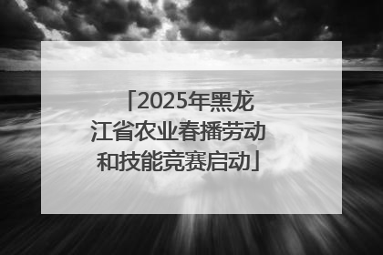 2025年黑龙江省农业春播劳动和技能竞赛启动